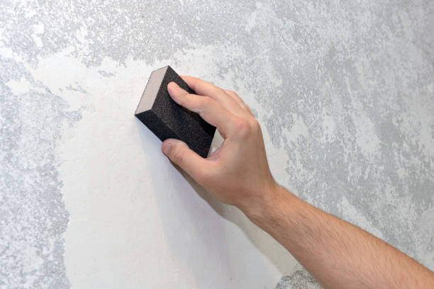 Best Mold Remediation for Healthcare Facilities  in New Paris, OH