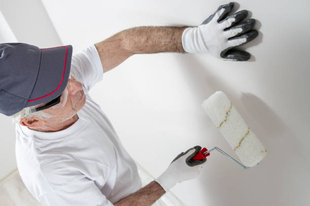 New Paris, OH Mold Removal Company