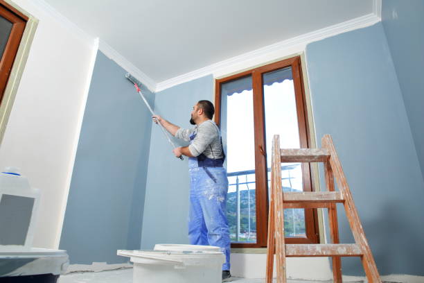 Best Water Damage & Mold Remediation  in New Paris, OH