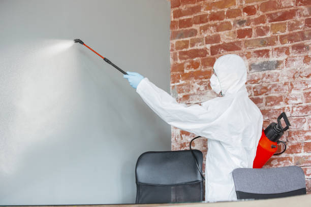 Asbestos and Lead Testing During Mold Inspection in New Paris, OH