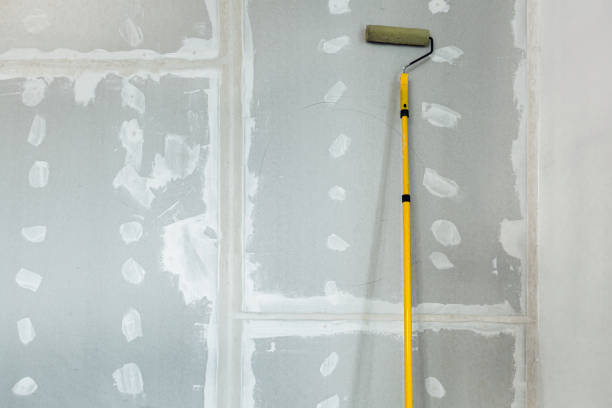 Mold Documentation for Insurance Claims in New Paris, OH