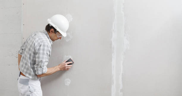 Best Forensic Mold Investigation  in New Paris, OH