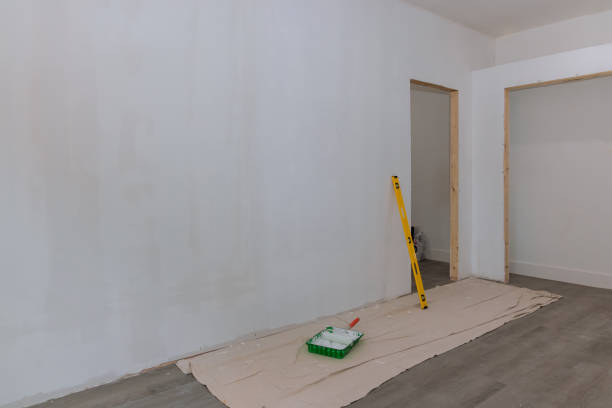 Best Post-Construction Mold Inspection  in New Paris, OH