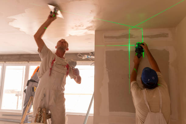 Best Industrial Mold Remediation  in New Paris, OH