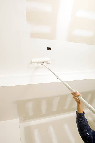 Best Commercial Mold Inspection  in New Paris, OH