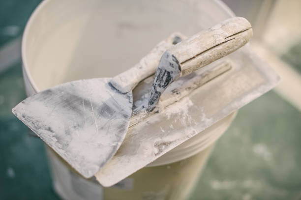 Best Attic Mold Removal  in New Paris, OH