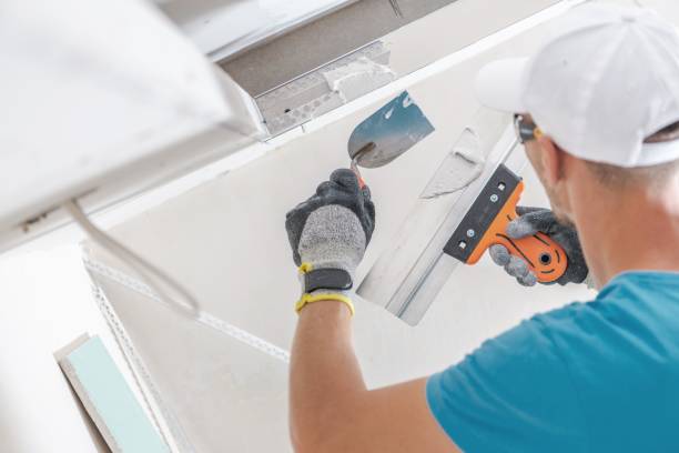  New Paris, OH Mold Removal Pros